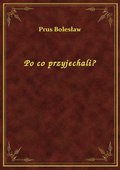 Po co przyjechali? - ebook