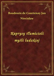 : Kaprysy tłumicieli myśli ludzkiej - ebook