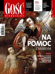 : Gość Niedzielny - Radomski - e-wydanie – 43/2017