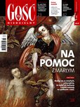 : Gość Niedzielny - Radomski - 43/2017